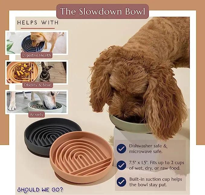 Tigela de Comida Slow Food para Pets Infinity