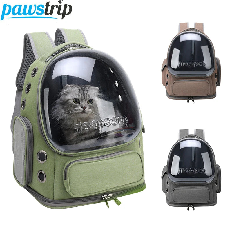 Bolsa de Transporte Transparente Infinity