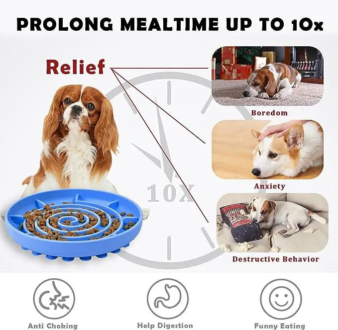 Tigela de Comida Slow Food para Pets Infinity