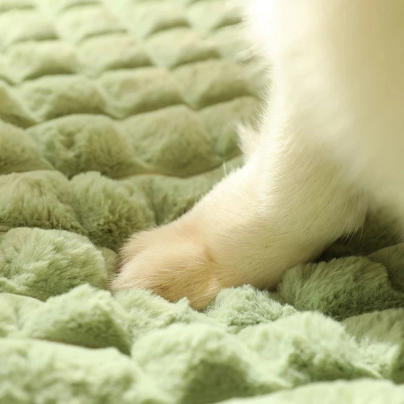 Cama Xadrez para Gatos e Cães Infinity