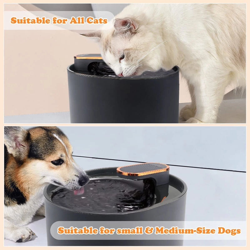 Fonte de Água para Gatos e Cães Infinity